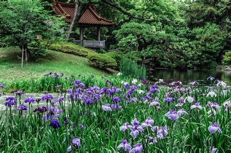 ¡Explora la magia del Parque de las Flores en Takamatsu! Un oasis verde para todos los sentidos.